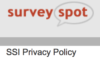 survey spot logo
