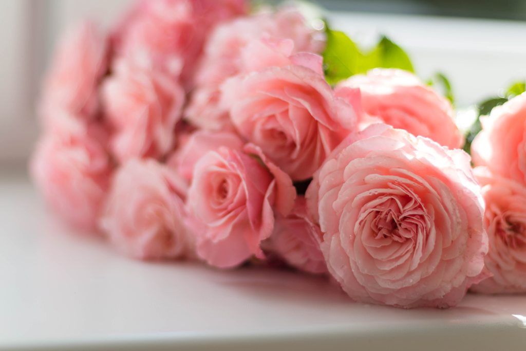 Collect and sell flowers