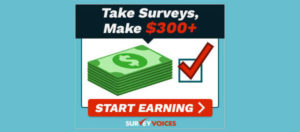 Survey Voices