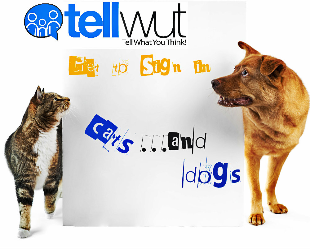 Tellwut Review