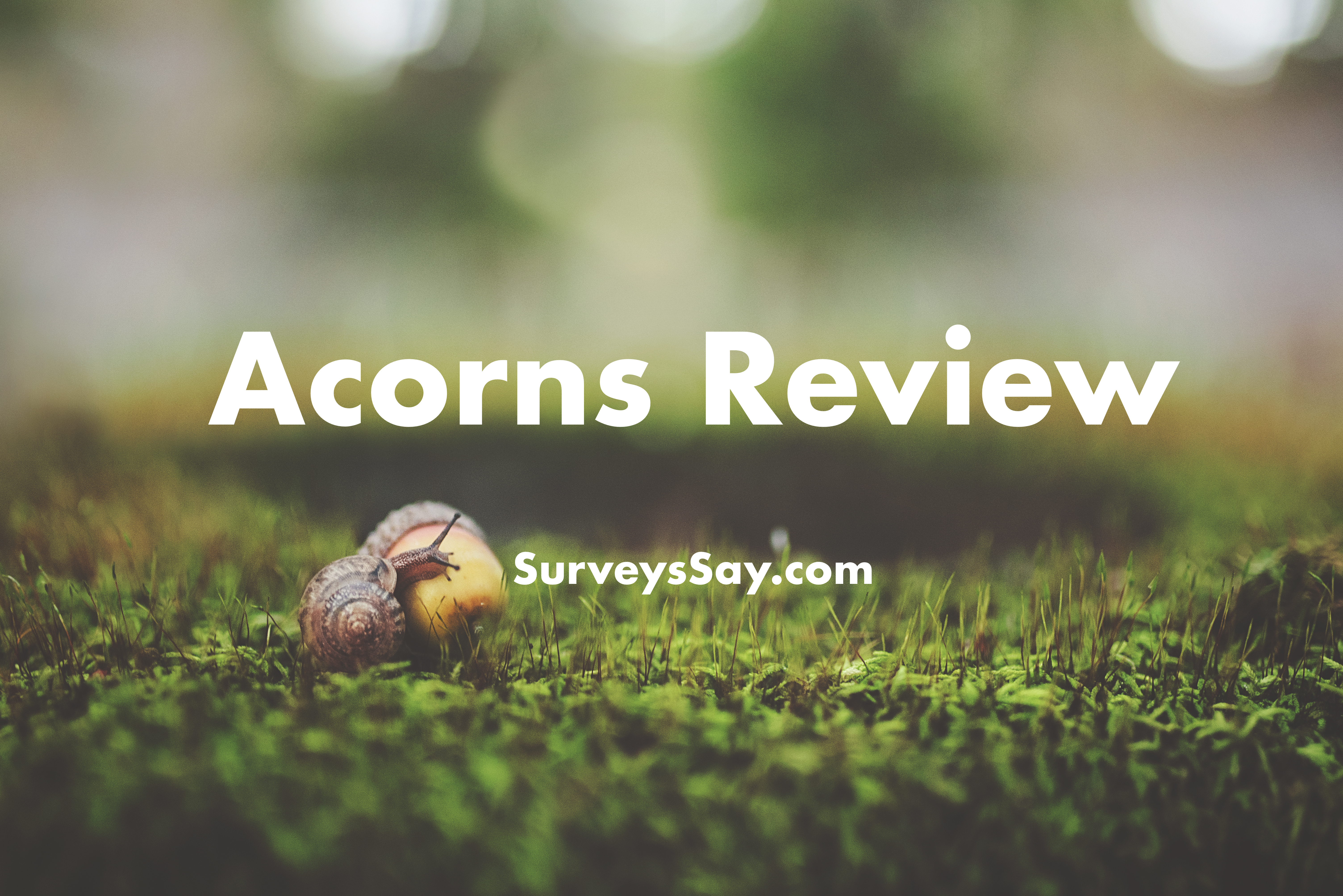 Acorns Review 2018: Legit Spare Change Investing App or Scam?